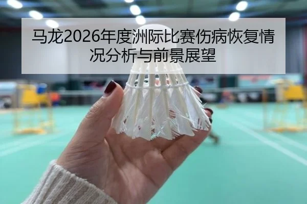 ma-long-nian-du-zhou-ji-bi-sai-shang-bing-hui-fu-qing-kuang-fen-xi-yu-qian-jing-zhan-wang-2-445.jpg