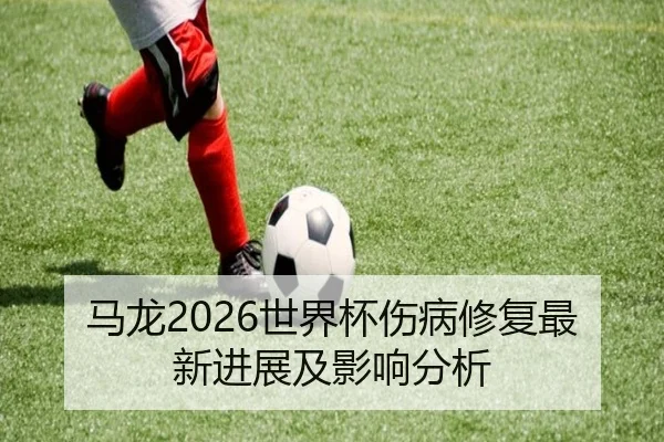 马龙2026世界杯伤病修复最新进展及影响分析